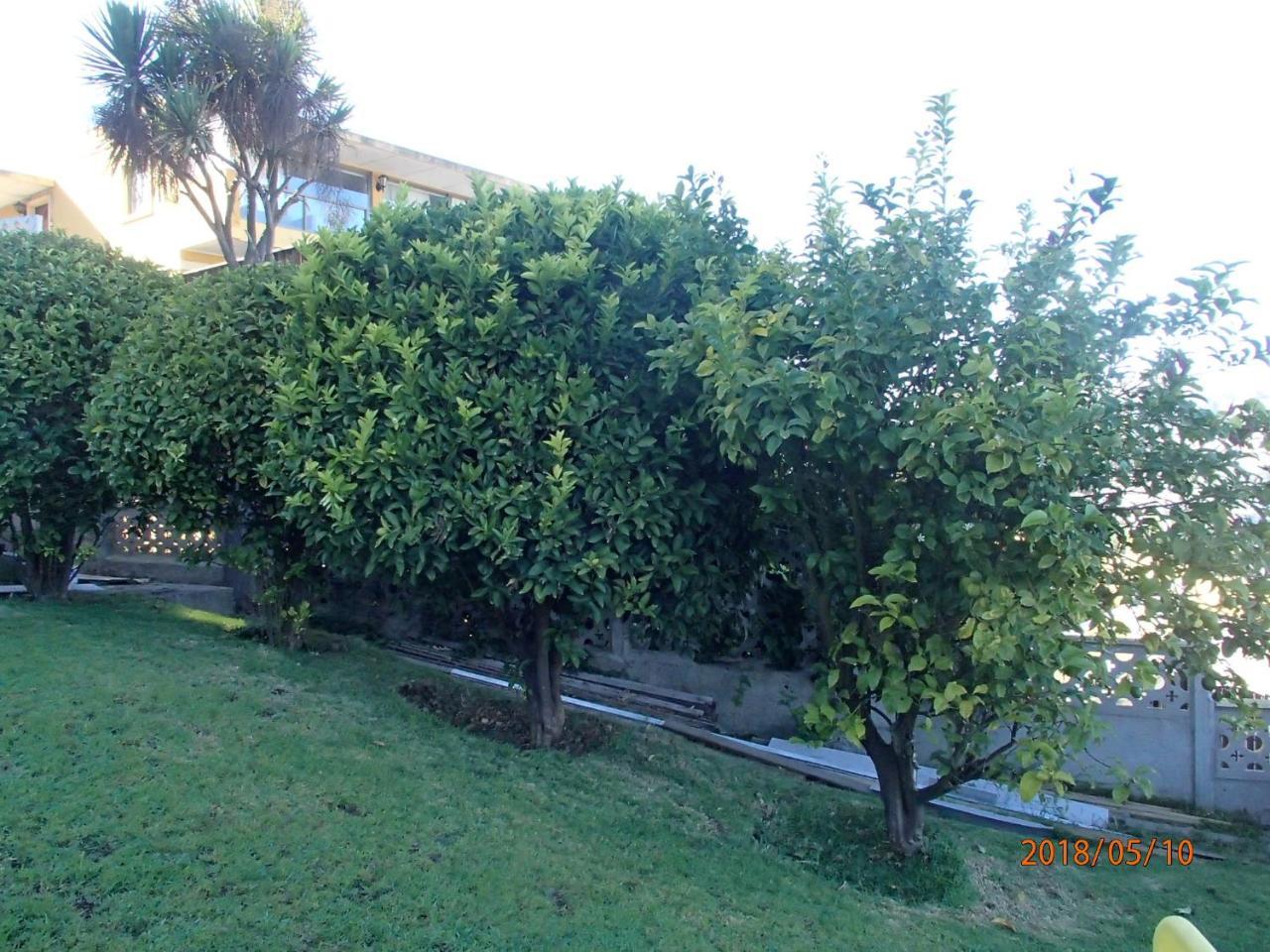 Hotel Camino Del Alto Vina del Mar Luaran gambar